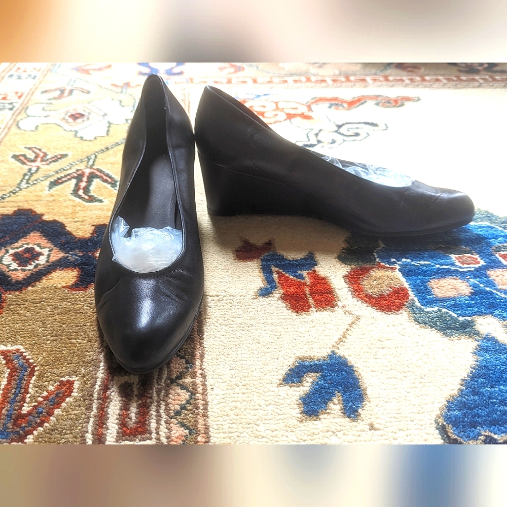 Stuart Weizman Luna Wedge Heels